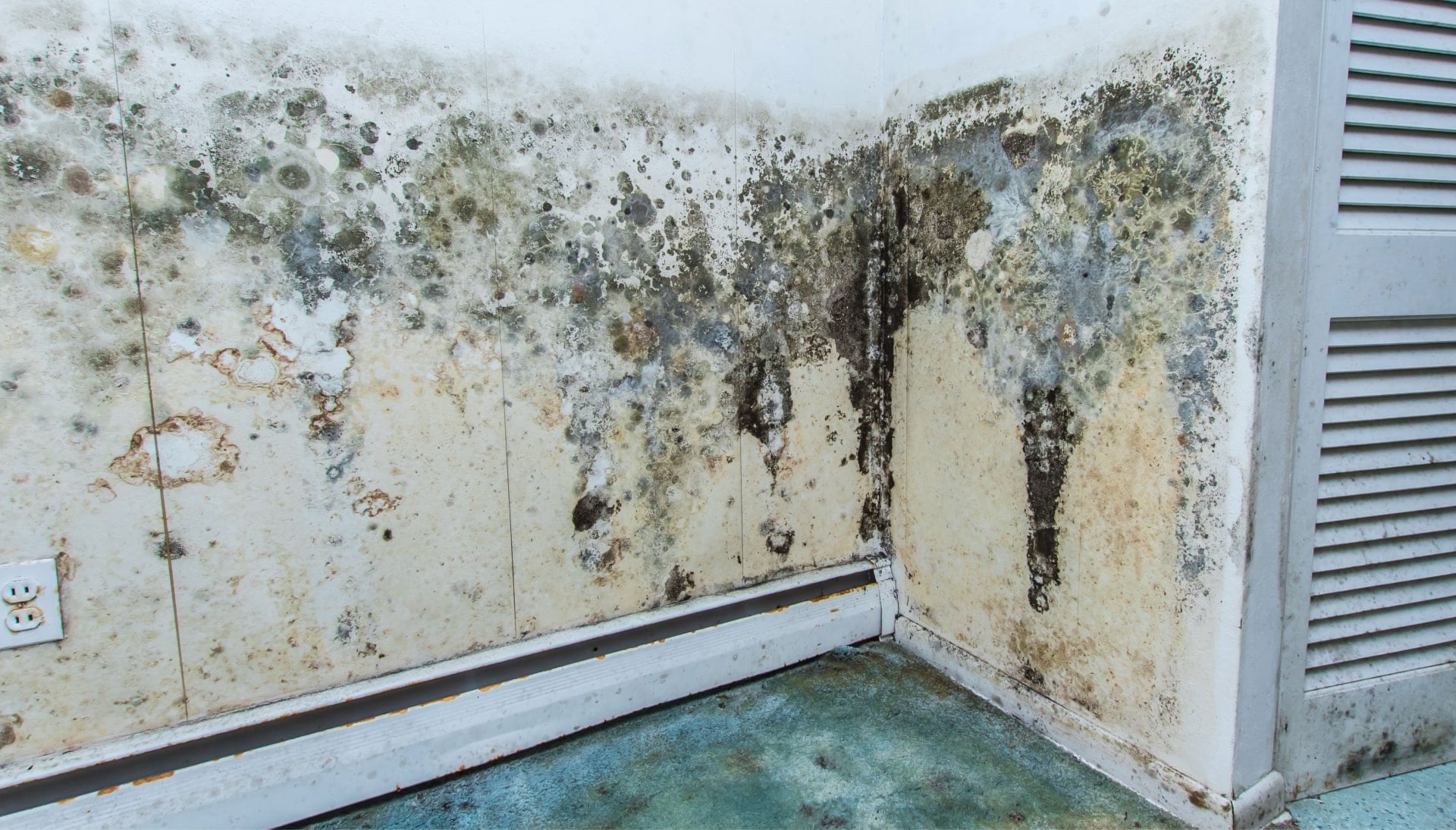 A mold remediation team using specialized techniques to remove mold damage and control odors in a Pensacola property, with a focus on safety and efficiency